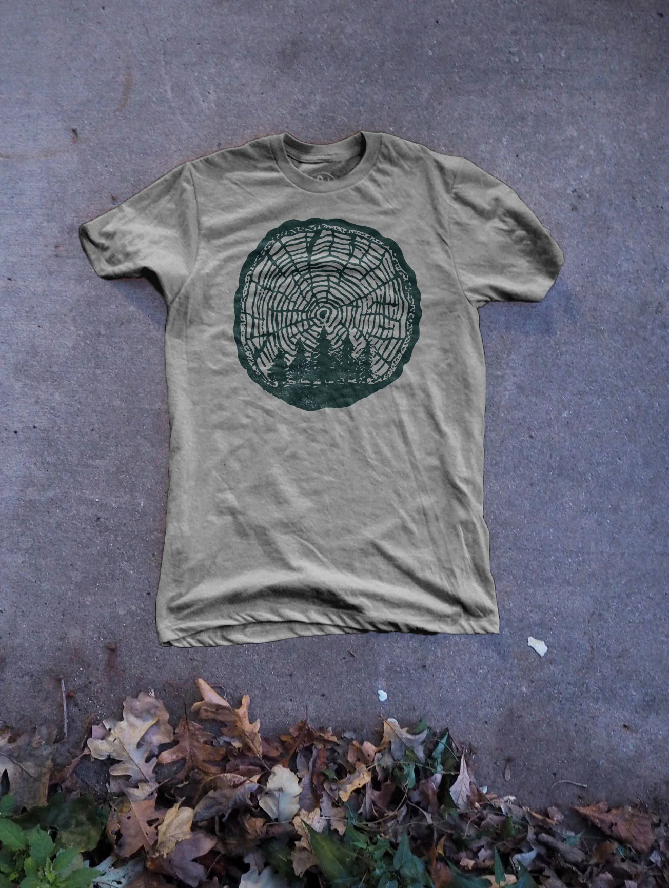 Tree-Rings.jpg