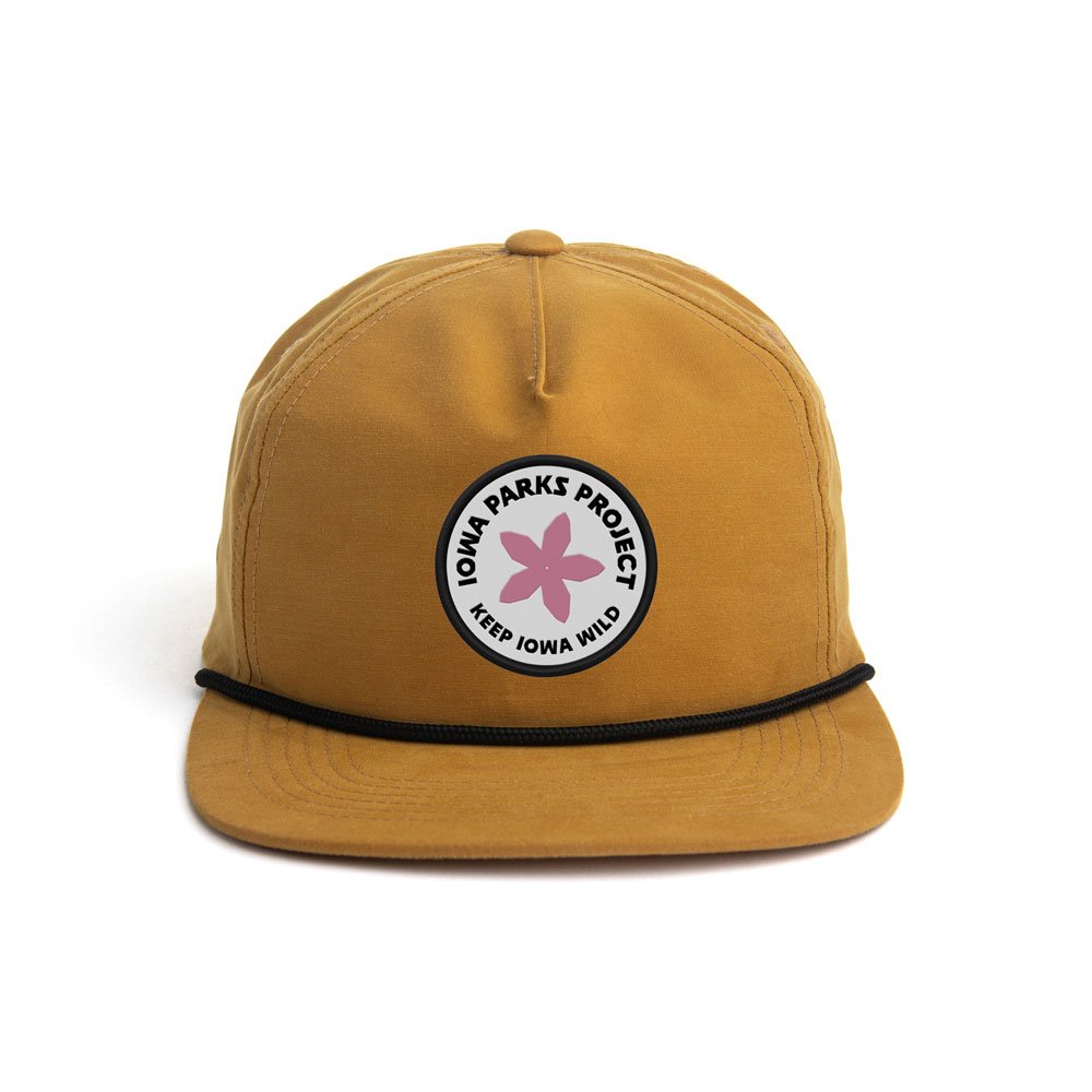 Gold-Black.jpg
