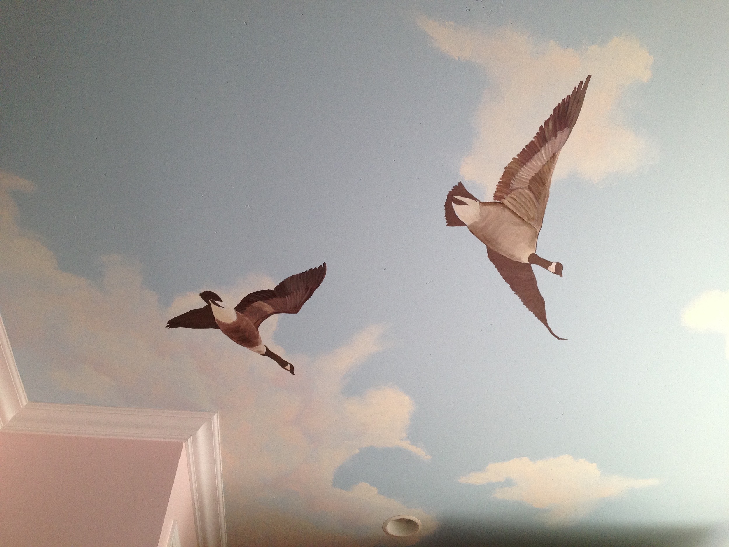 Canadian geese fly overhead in this Napa residence.