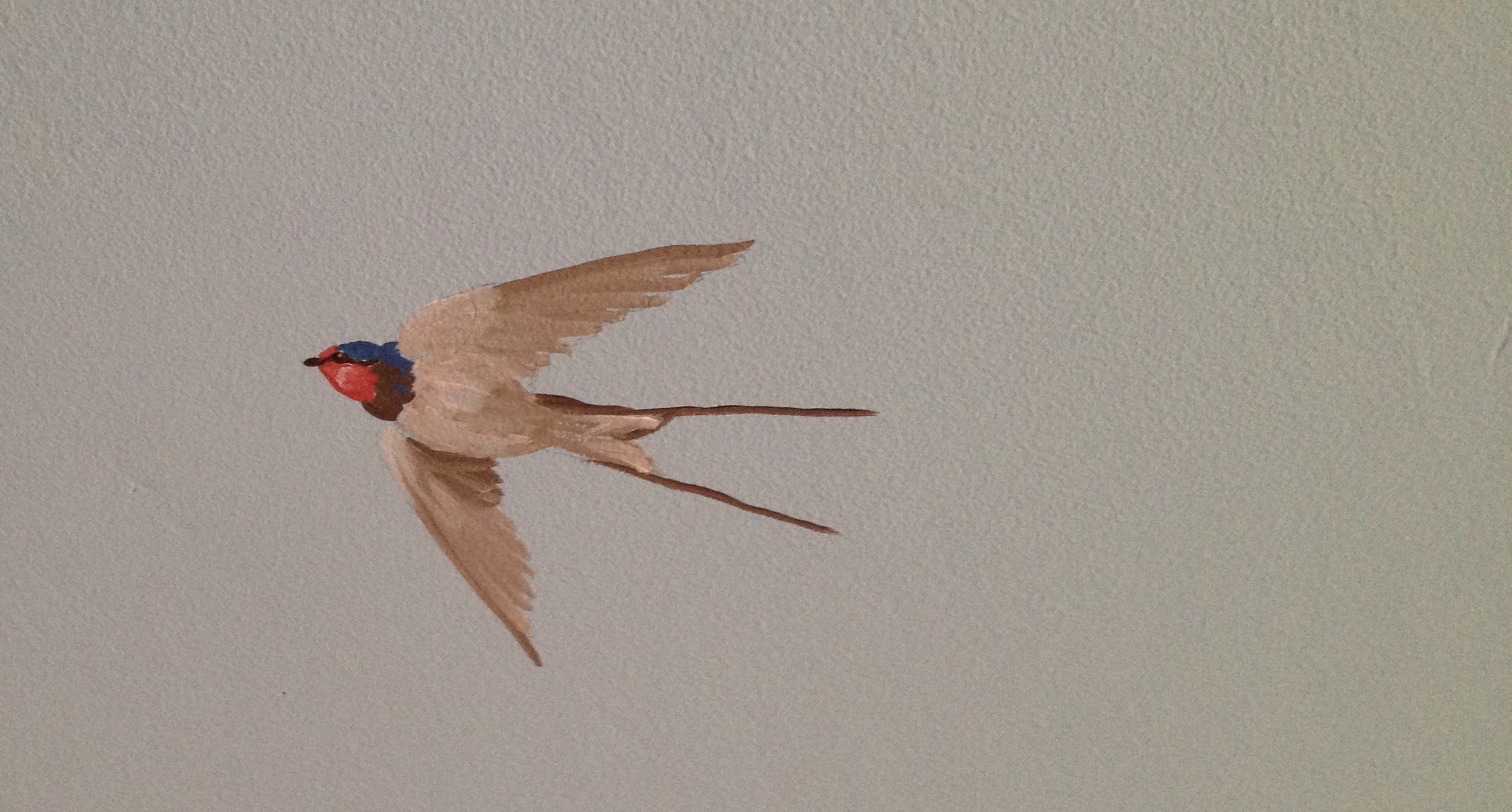 A swallow detail in a larger sky.