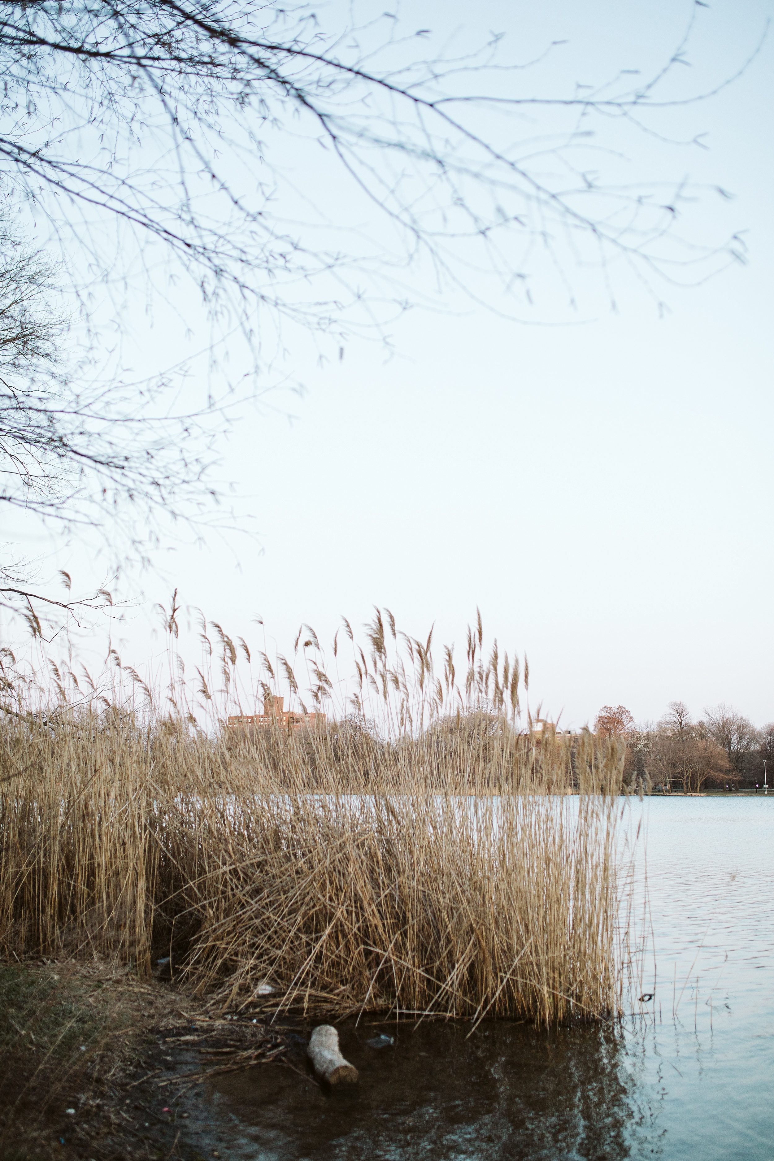 Allison Sullivan - Park Slope + Prospect Park Brooklyn Engagement Session 0013.JPG