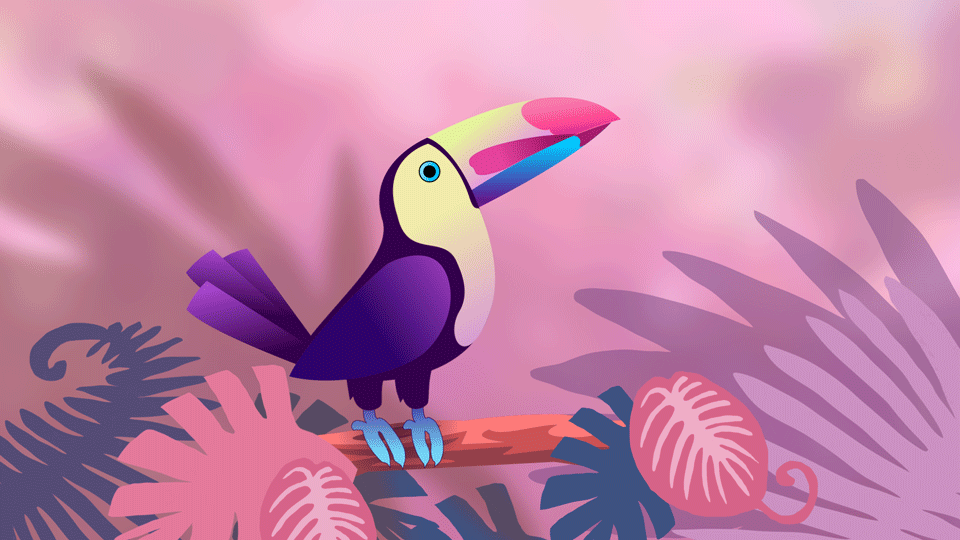 toucan-final-merge.gif