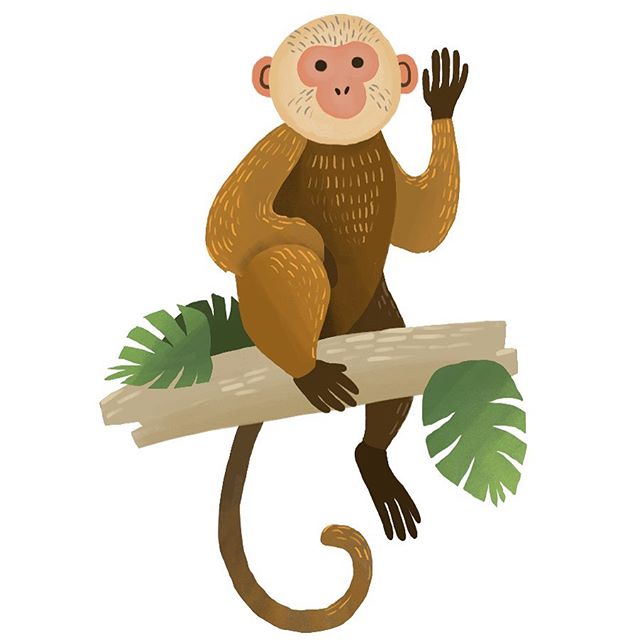 Oh hi 👋 
#illustrator #artist #art #picoftheday #instagood #artistoninstagram #illustration #illo #illy #sketching  #sketchbook #painteveryday #applepencil #ipadpro #procreate #monkey #jungle