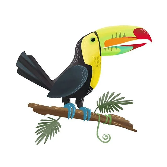 A little toucan on the iPad!
.
.
#ipadpro #apple #applepencil #sketch #painting #digitalart #digitalpainting #illustrator #artist #art #picoftheday #instagood #artistoninstagram #toucan #instaart #sketchbook #illustration #illo #illy #wip #sketching 