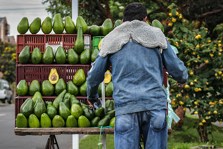 AvoStore.jpg