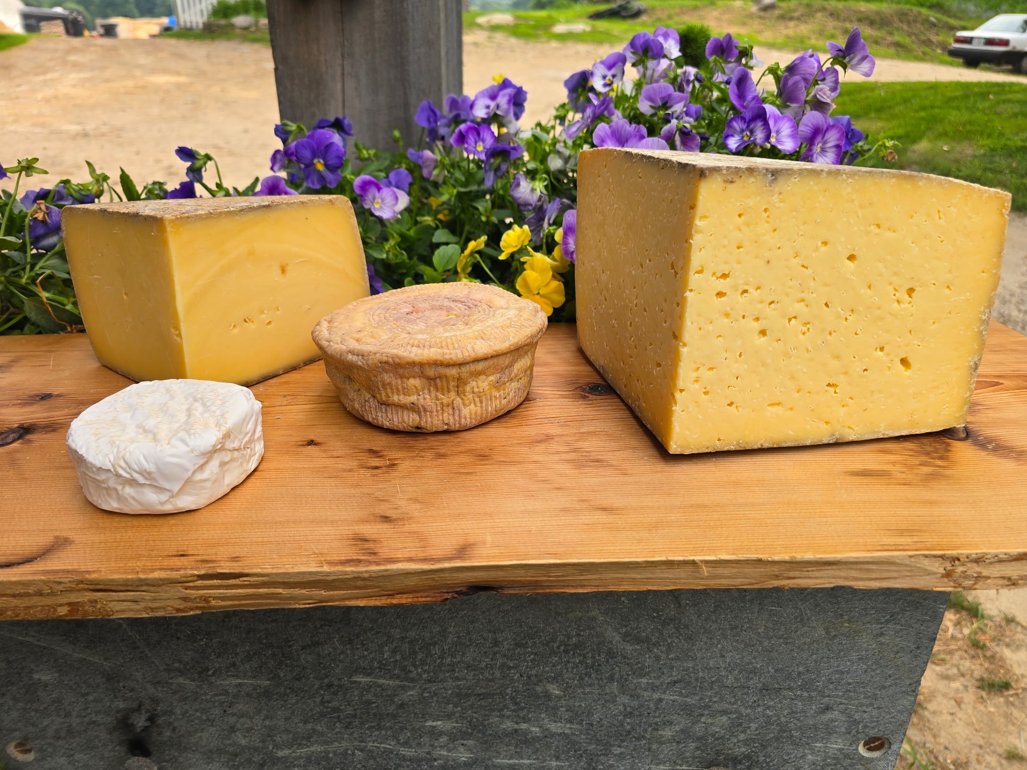big E cheese winners board.jpeg