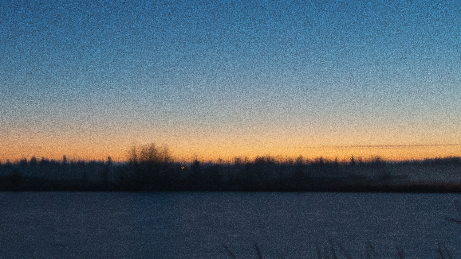 1:1 crop without noise reduction 