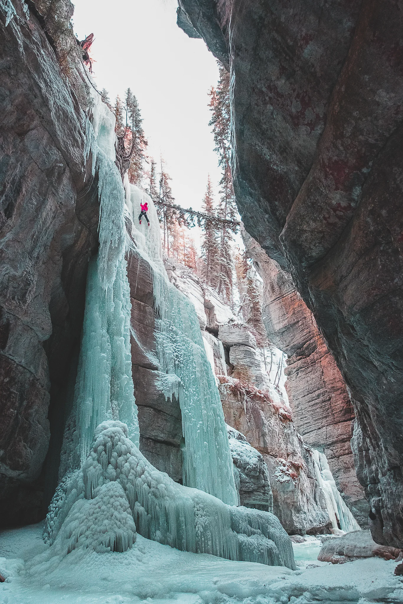 The Queen, an stunningly aesthetic pitch of ice in Maligne Canyon.
