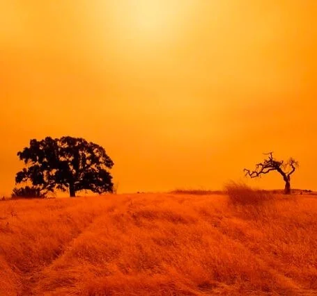 Here in Los Angeles the air is thick and the ash is falling. The fires continue to rage on and we&rsquo;re feeling the impact in our respiratory system. Headaches, scratchy throats, fatigue and malaise are all common symptoms. While doing our best to