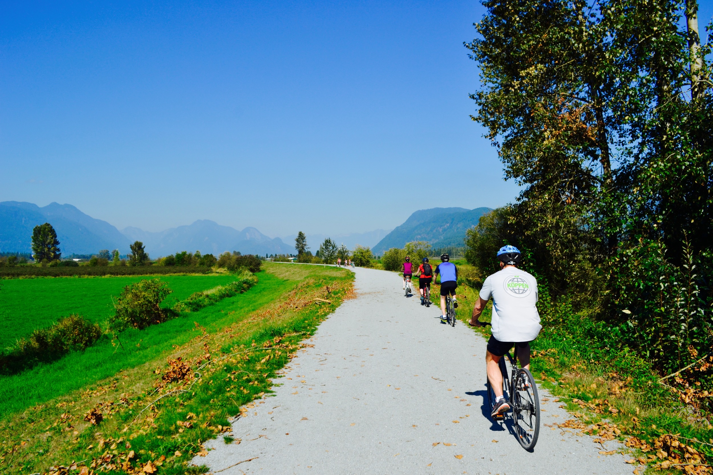 Cycling at Pitt Meadows during our one day Bike and Hike Tour