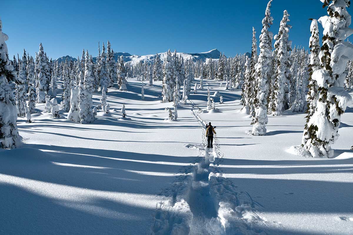  &nbsp; &nbsp; &nbsp; &nbsp; &nbsp; &nbsp; &nbsp; &nbsp; &nbsp; &nbsp; &nbsp; &nbsp; &nbsp; &nbsp; &nbsp; &nbsp; &nbsp; &nbsp; &nbsp; Our snowshoe guides will lead you to spectacular scenery 