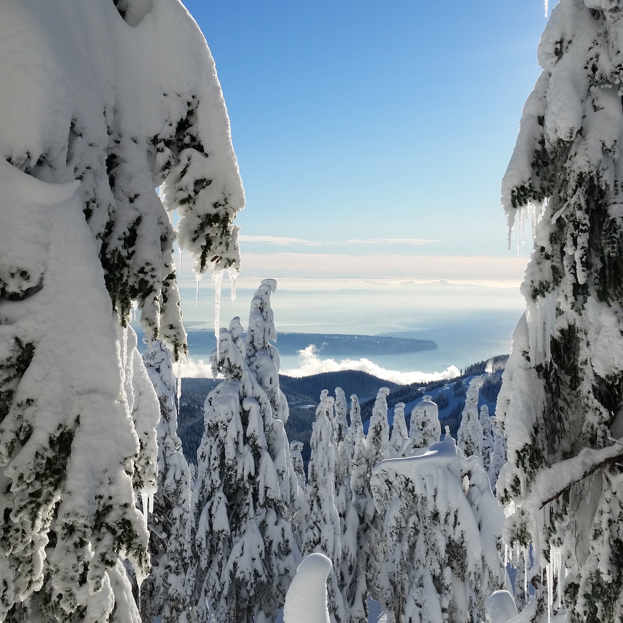  &nbsp; &nbsp; &nbsp; &nbsp; &nbsp; &nbsp; &nbsp; &nbsp; &nbsp; &nbsp; &nbsp; &nbsp; &nbsp; &nbsp; &nbsp; &nbsp; &nbsp;A peek of Bowen Island through the snow covered trees 