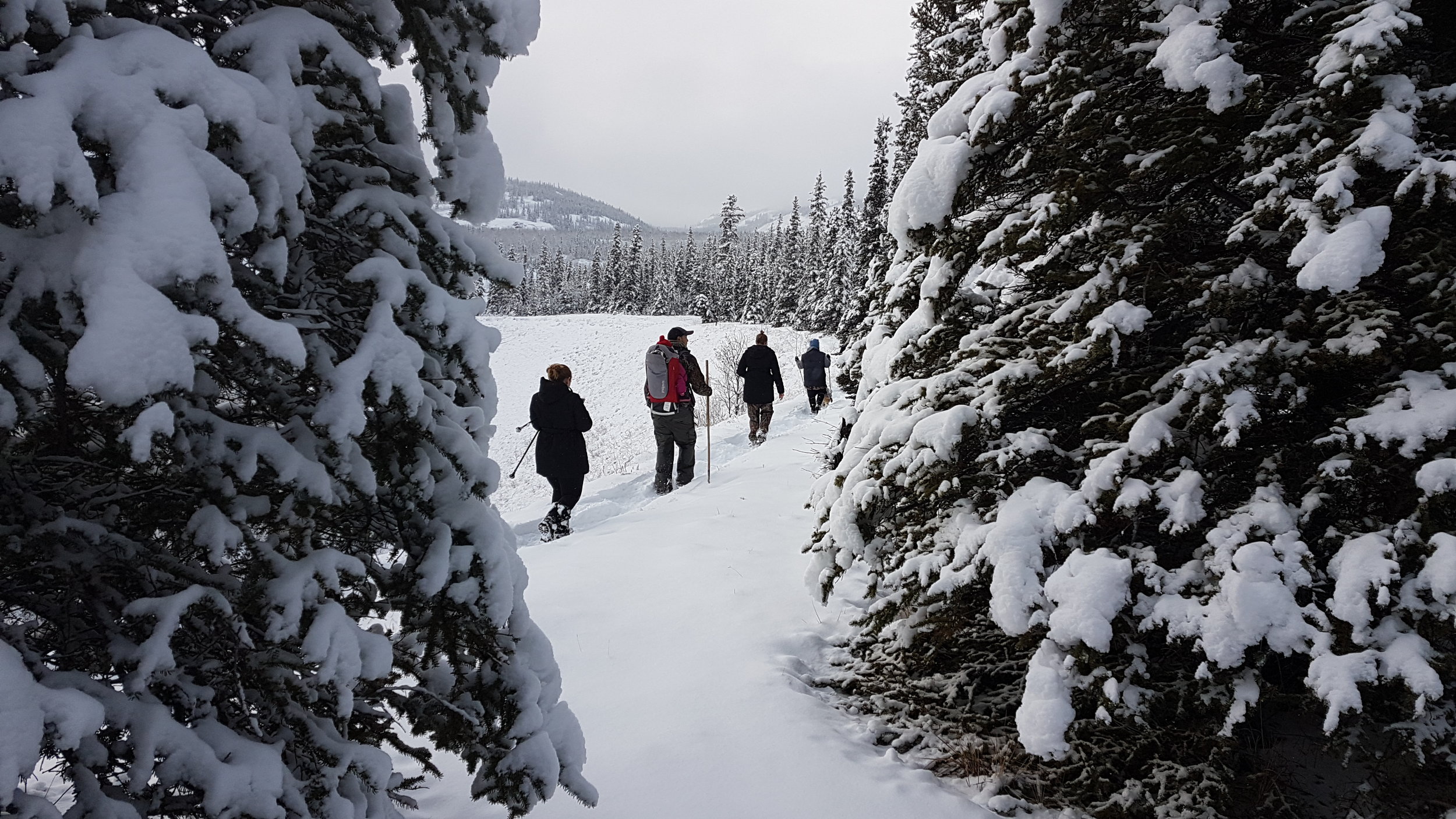  &nbsp; &nbsp; &nbsp; &nbsp; &nbsp;Our small group tours offer an excellent opportunity to experience winter in a new way 