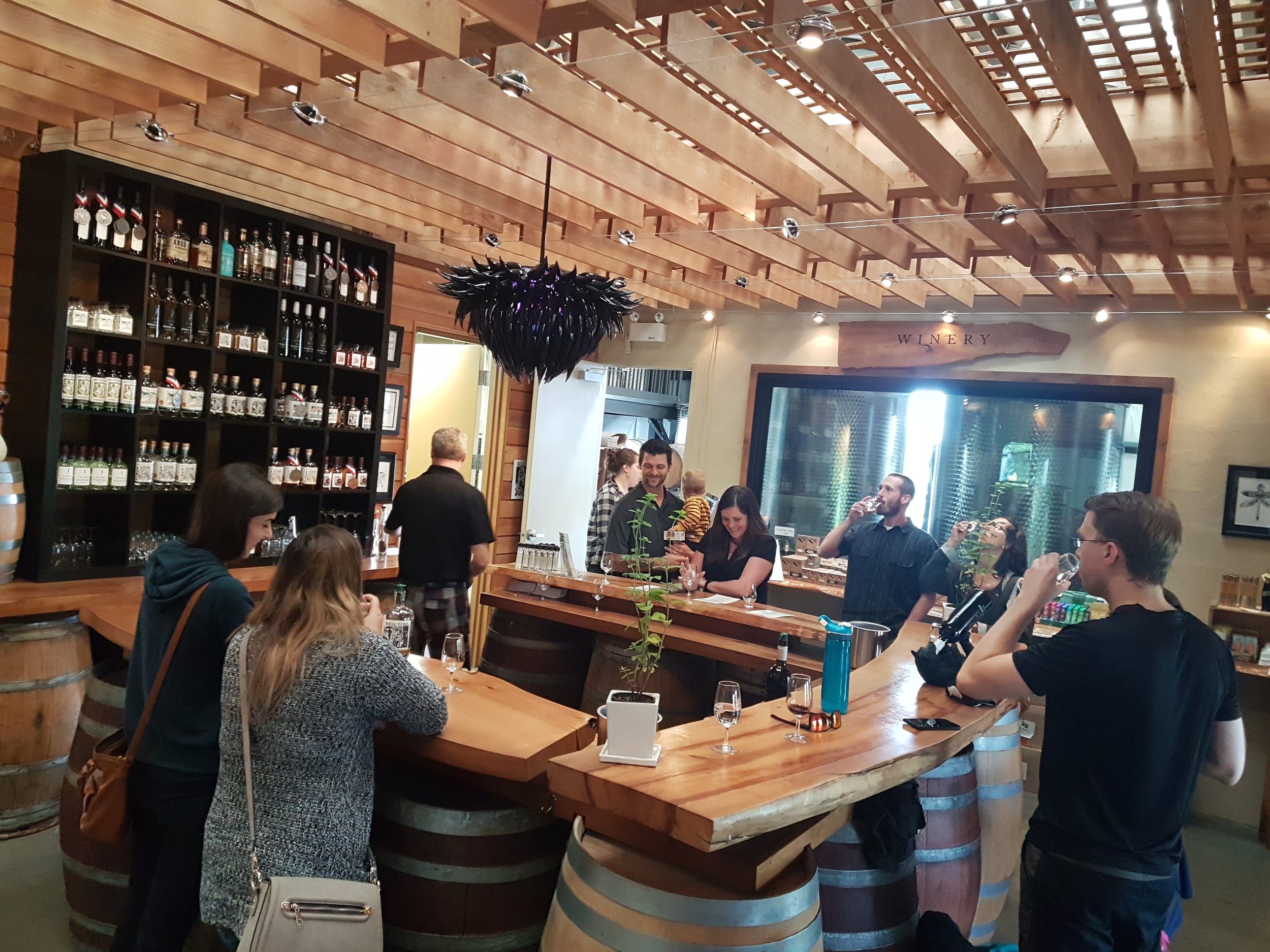 Wine tasting during one of our Multiday bike tours in the Okanagan BC