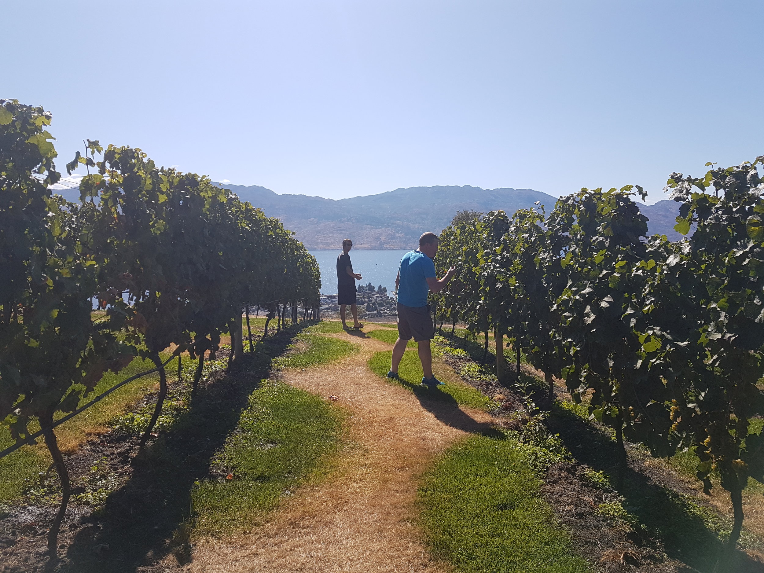 Walking in one of the wineries during our Multiday Okanagan Bike tour