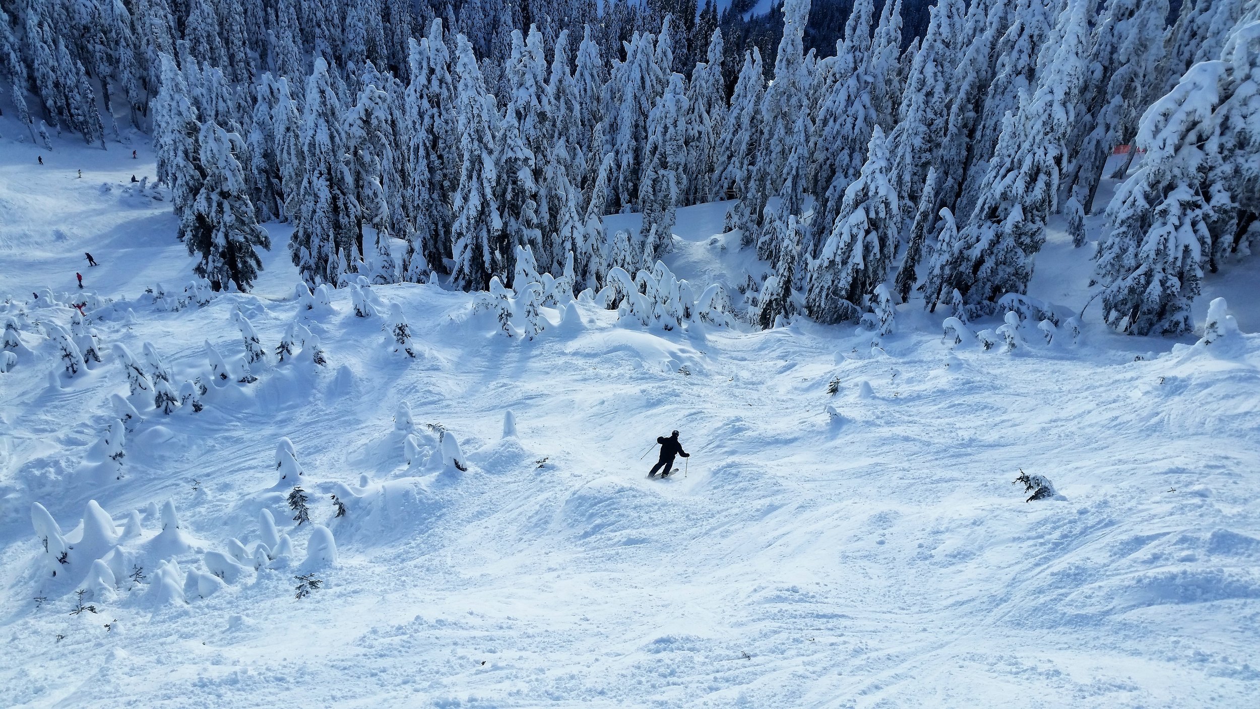 Enjoying a mogul run at the local mountains in Vancouver