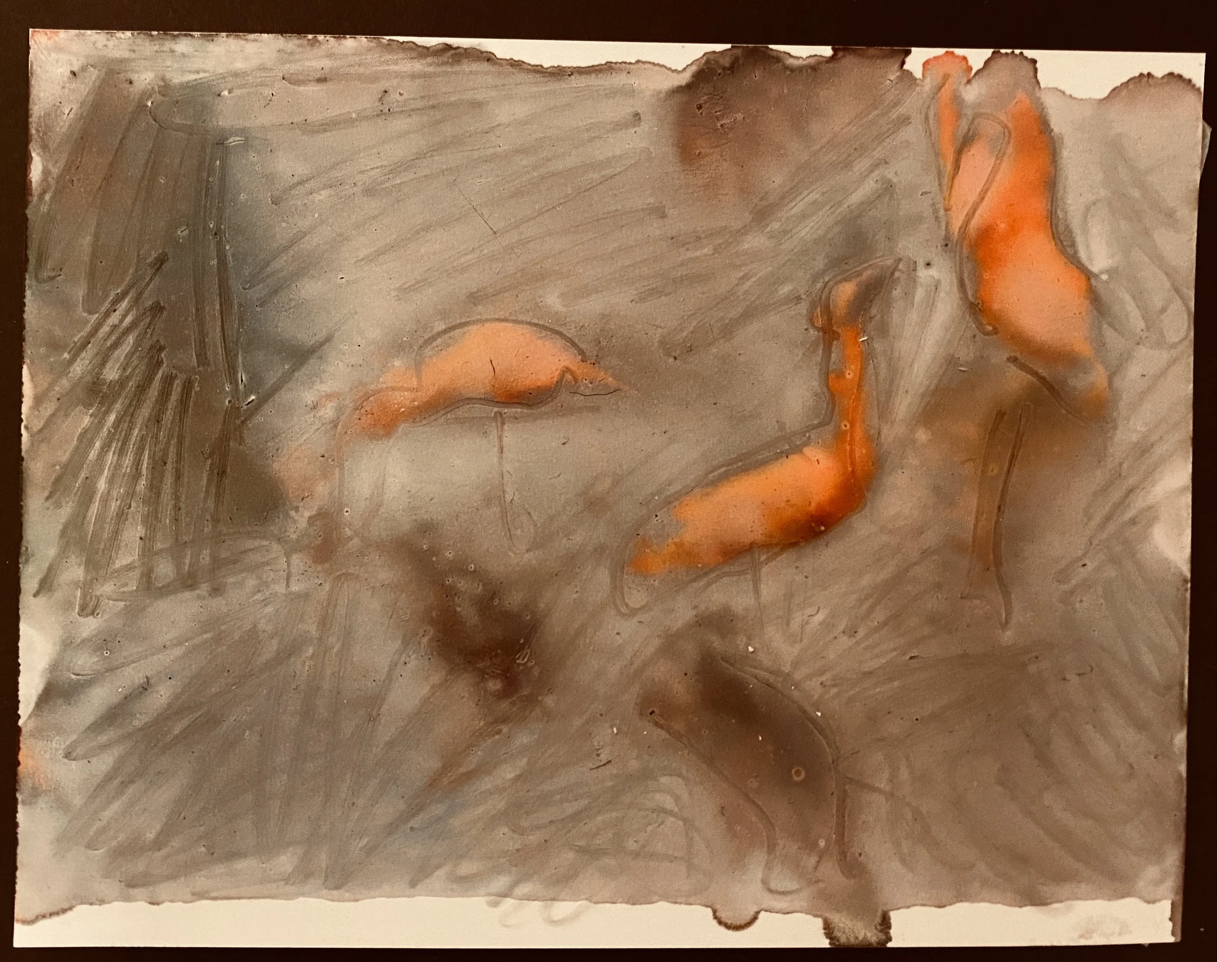 IMG_5330 (Edited).JPG