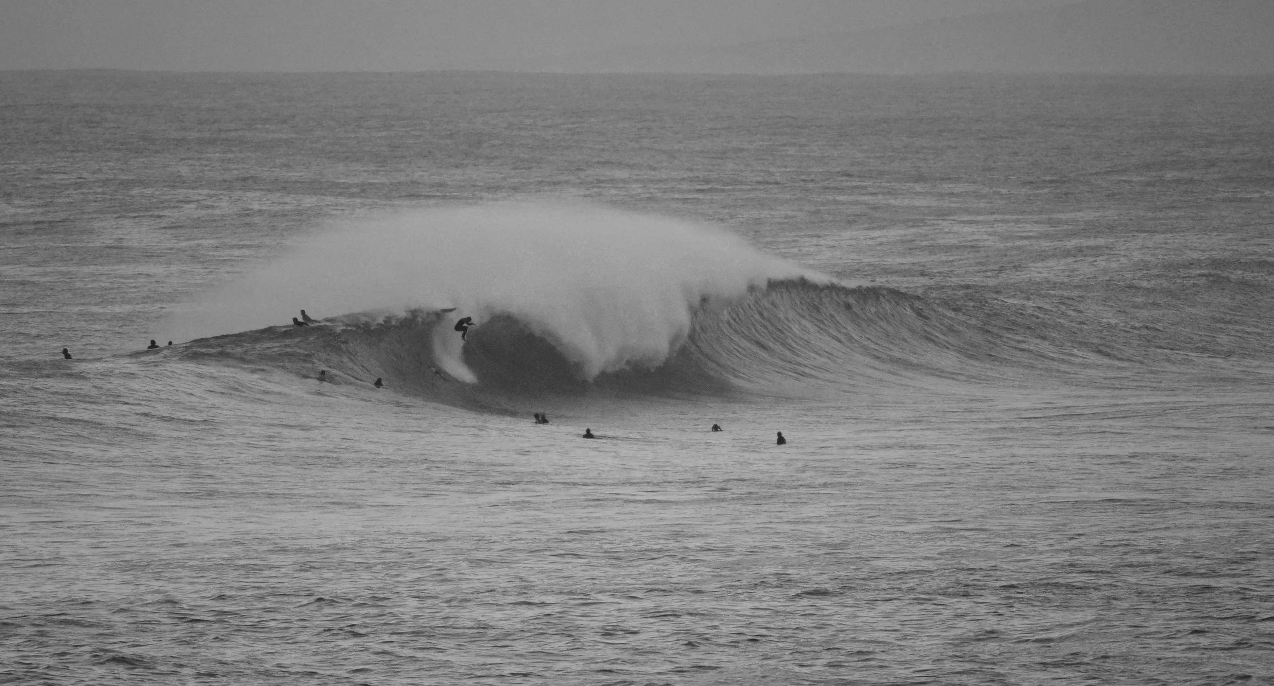 MONSTER MASH | GRACETOWN | WESTERN AUSTRALIA