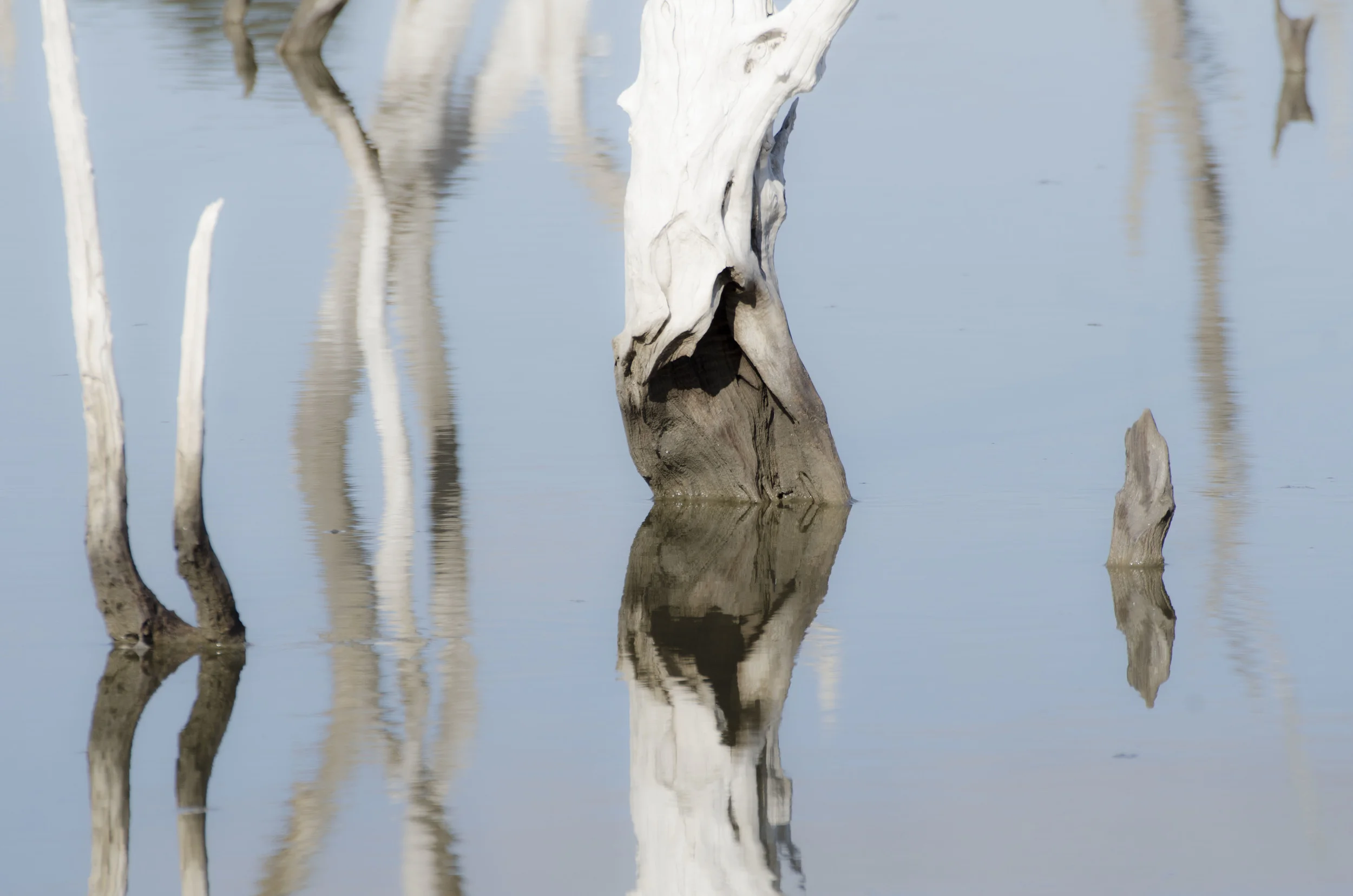 LAKE TOWERRINNING | WESTERN AUSTRALIA