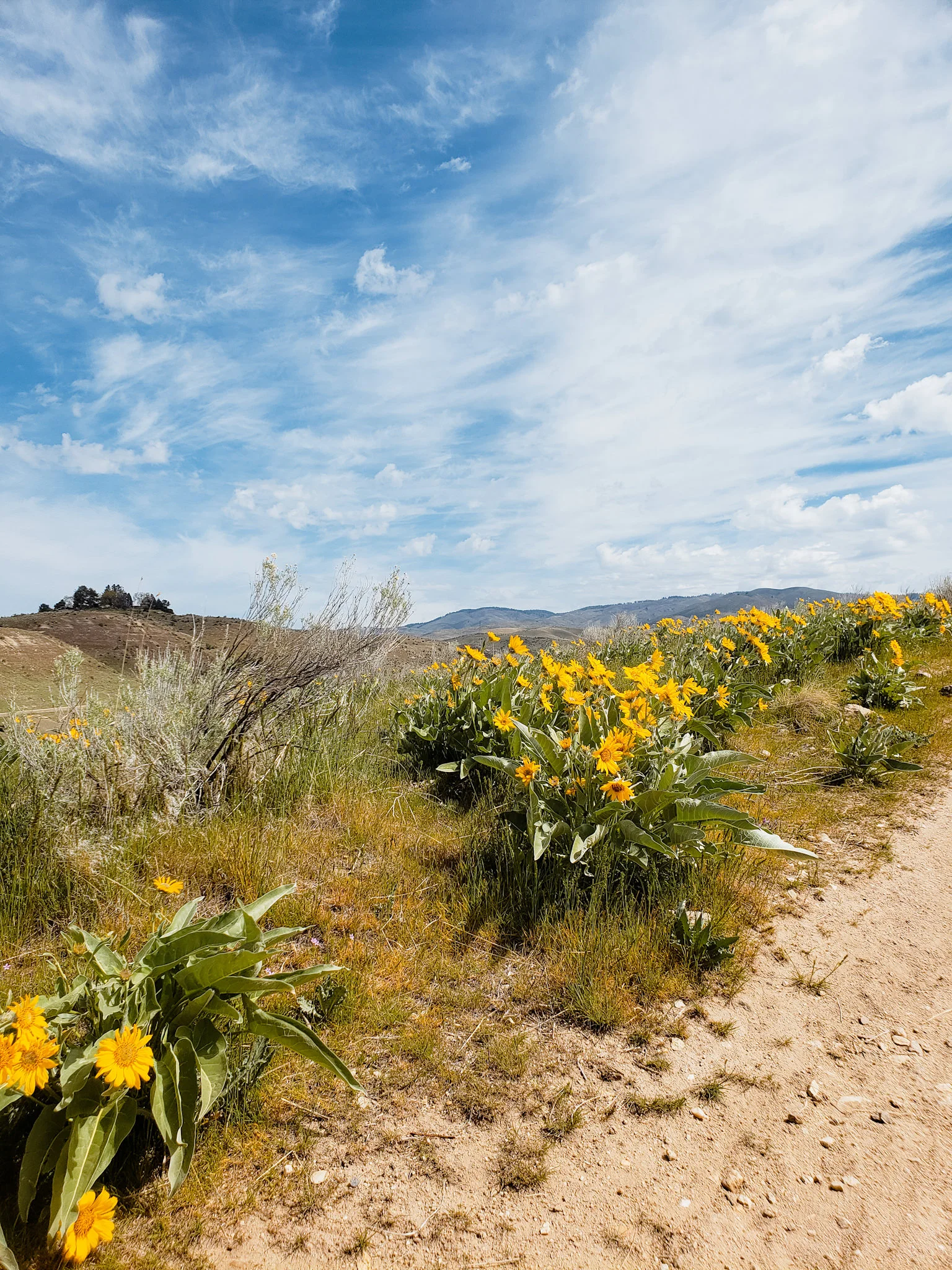Date Day Foothills Adventure 2.jpg