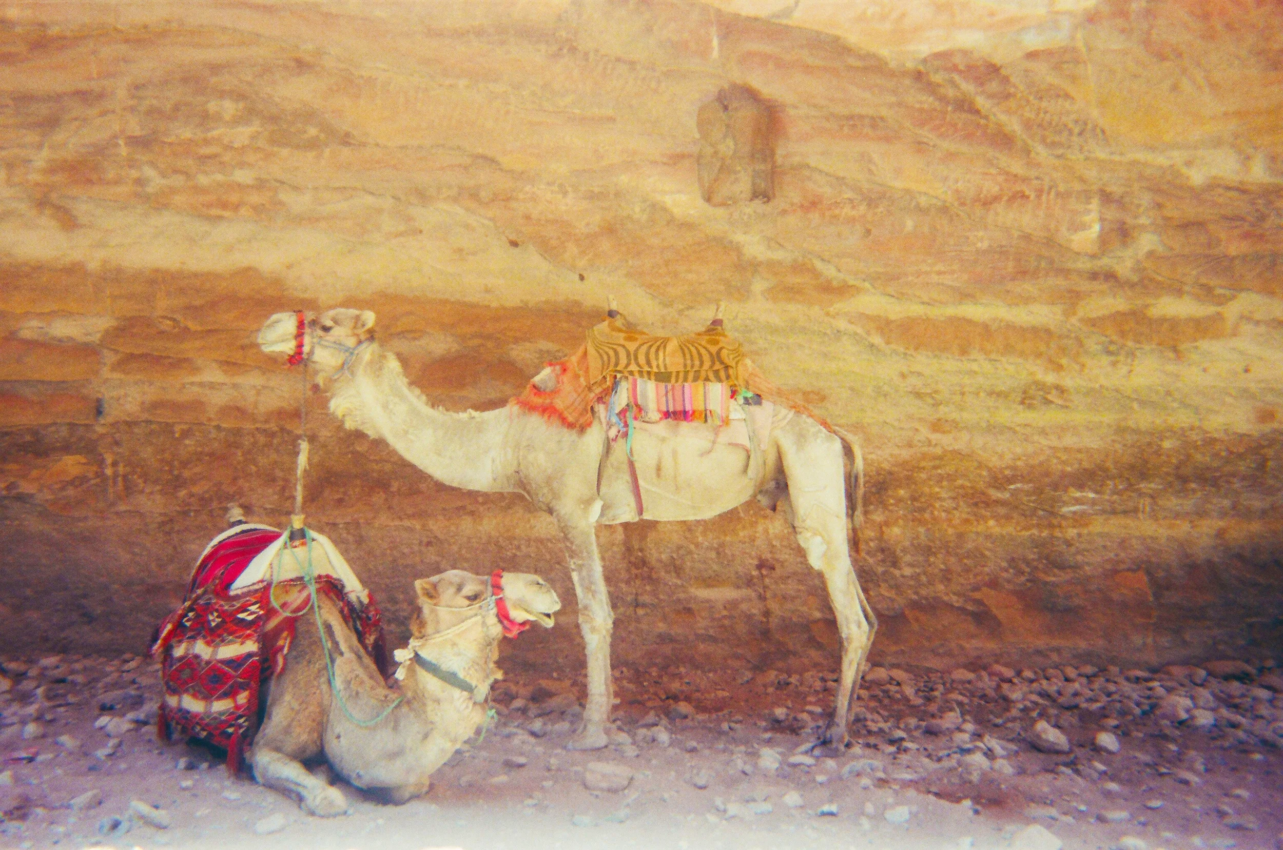 COVER ERYKA CLAYTON 11950007.JPG