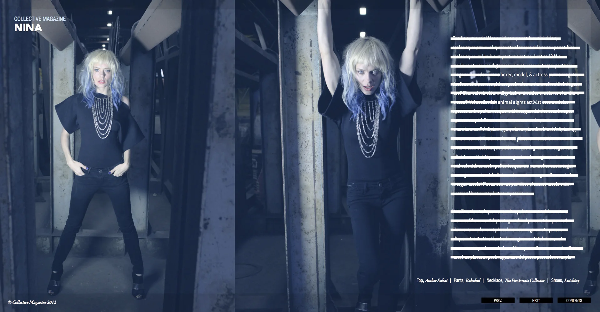 Collective Volume 2 Issue_11_v4 31.jpeg