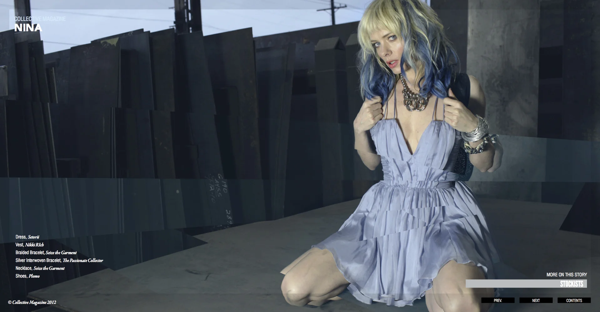 Collective Volume 2 Issue_11_v4 37.jpeg