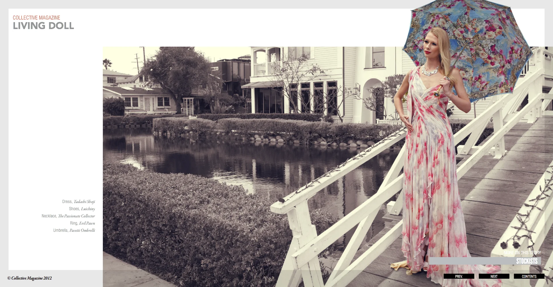 Collective Volume 2 Issue_11_v4 13.jpeg