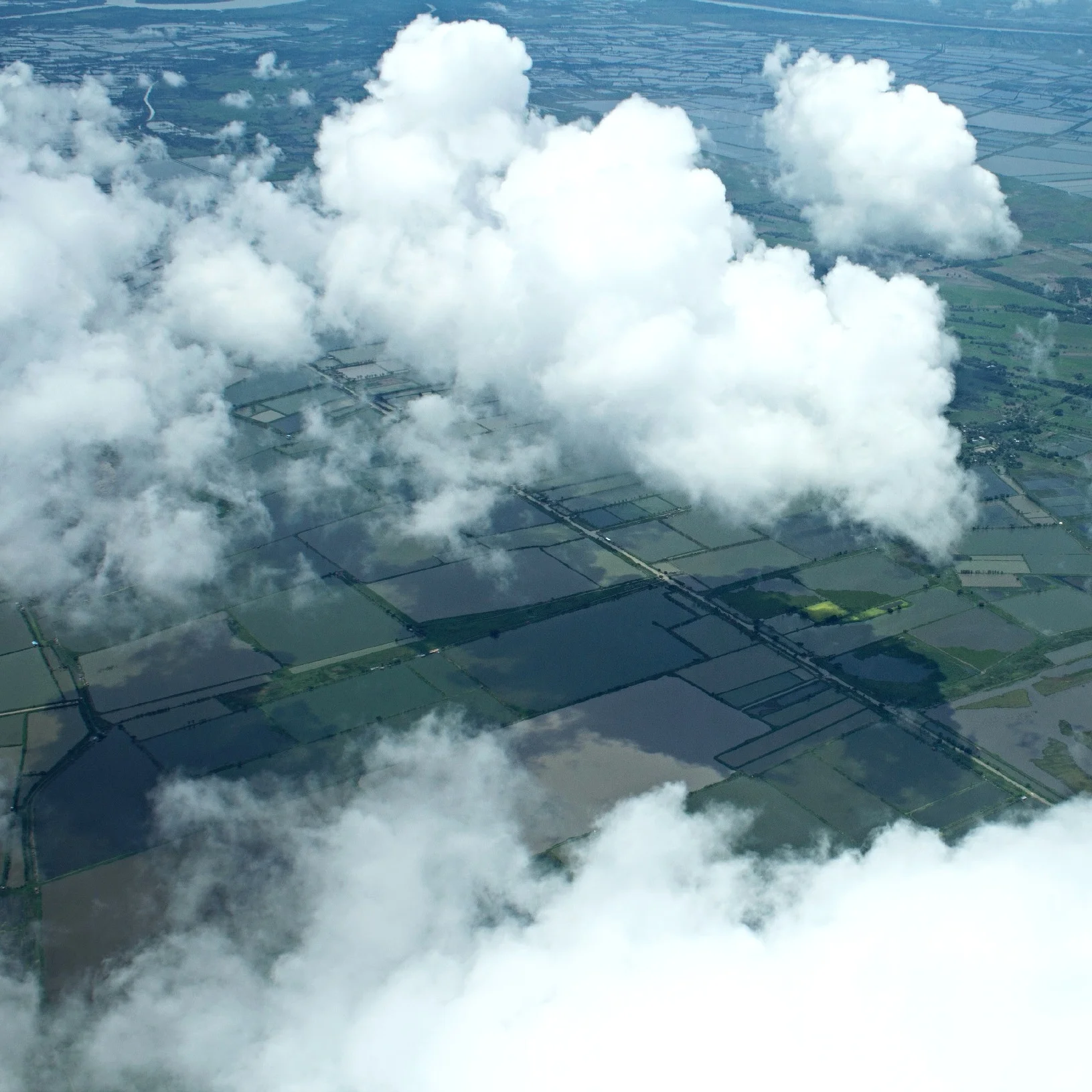 Sustainable master planning and design