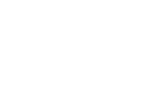 Nomad and Camera 