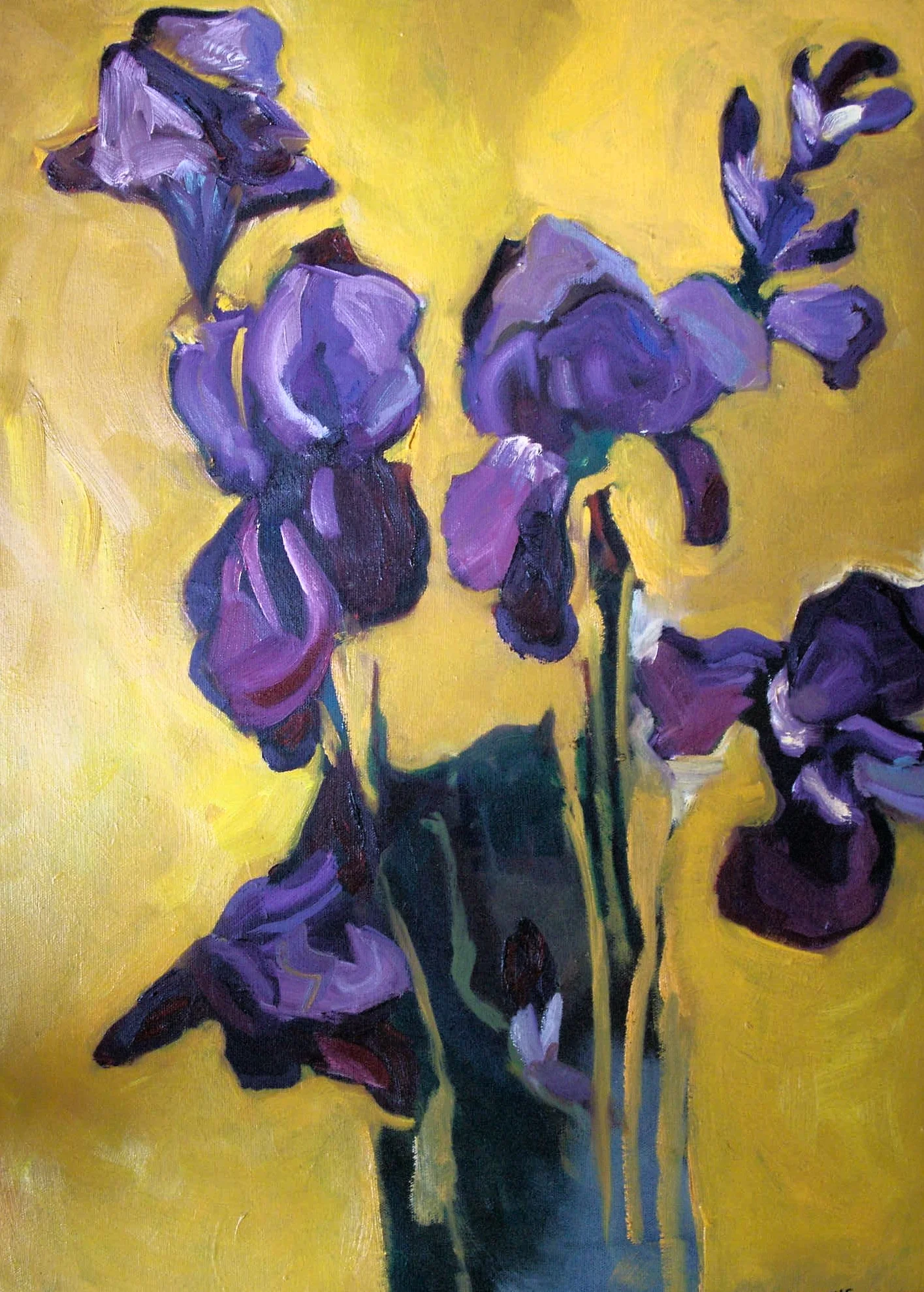 Iris