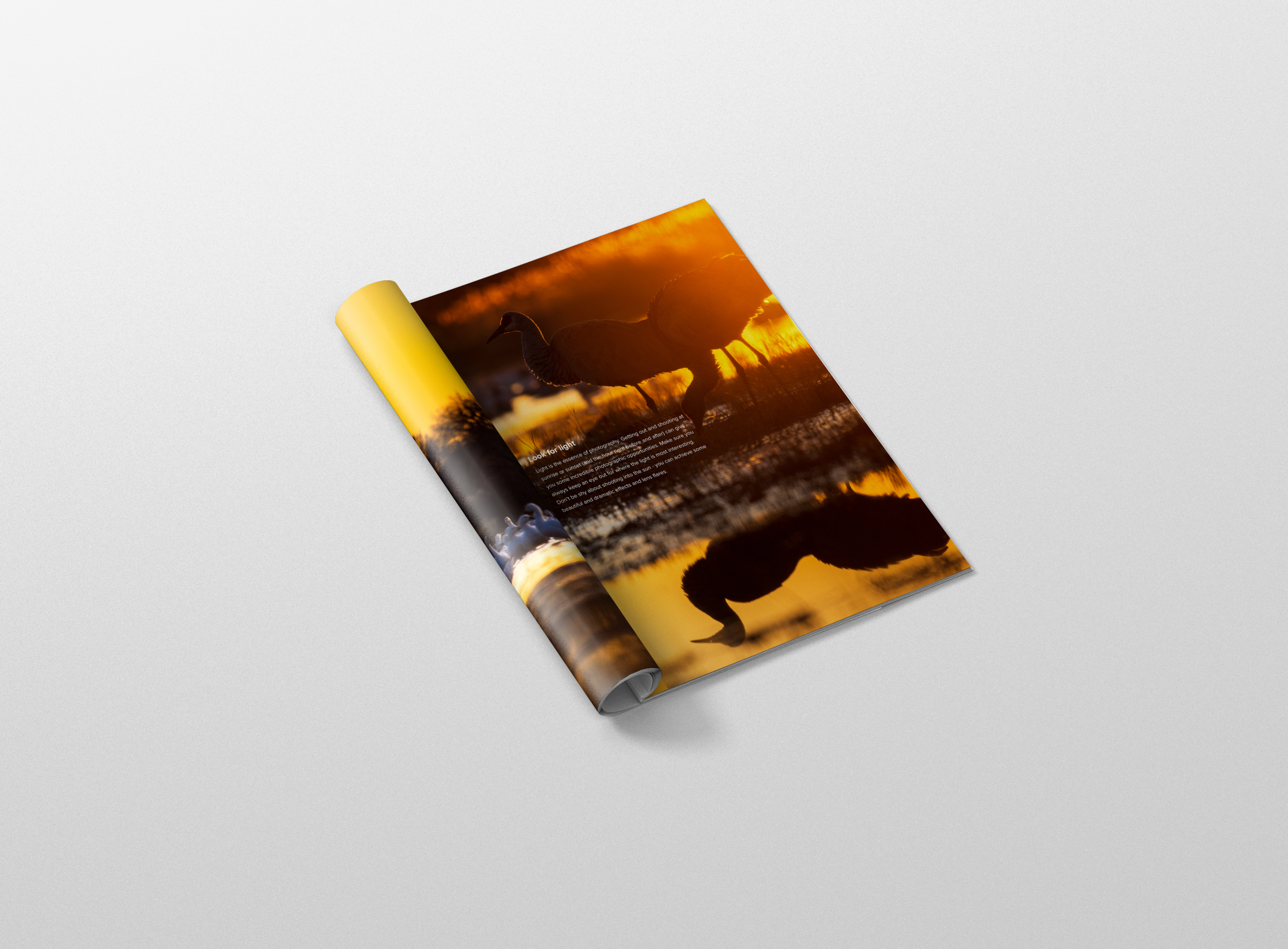Mockup2.png