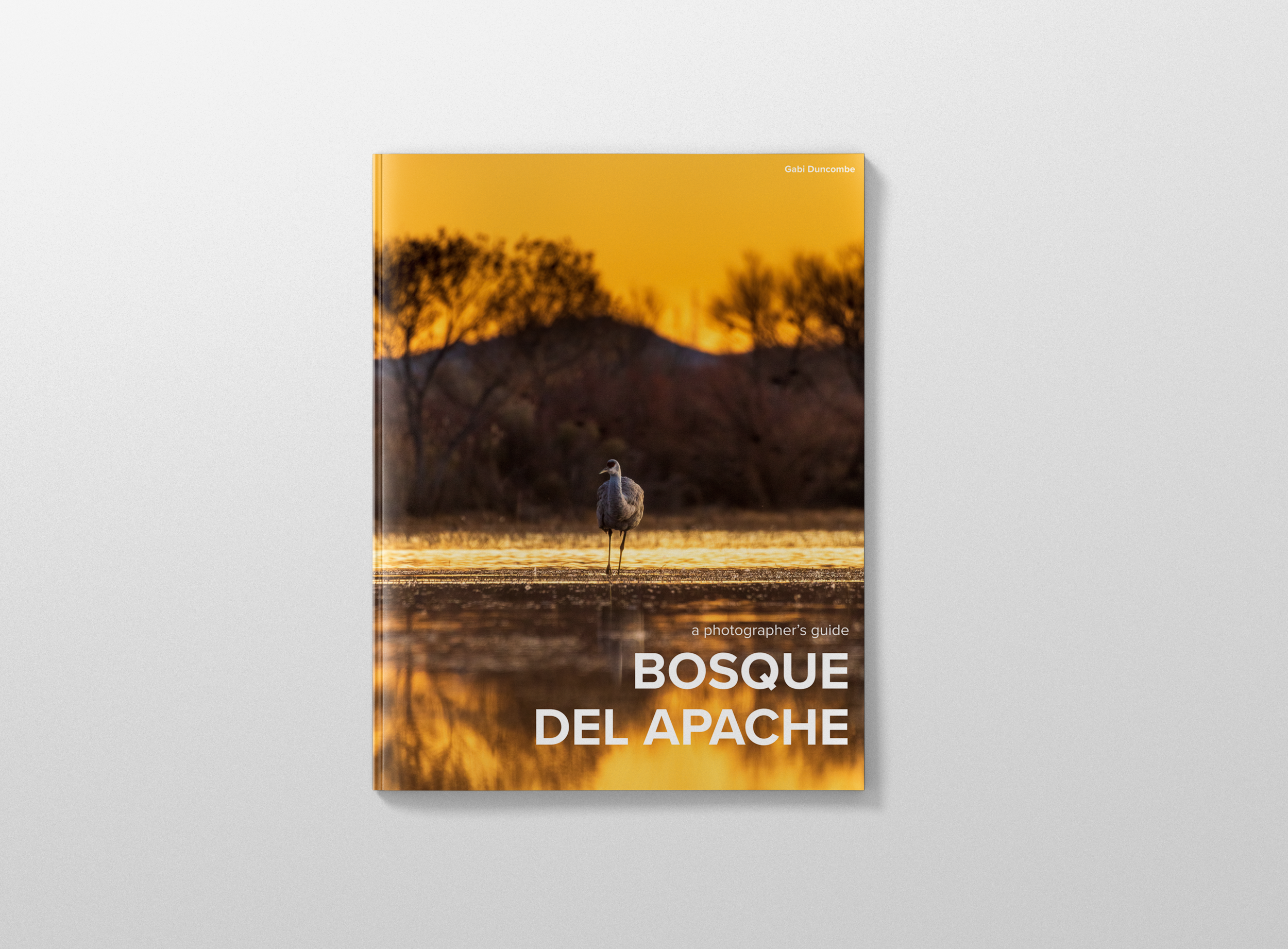Mockup4.png