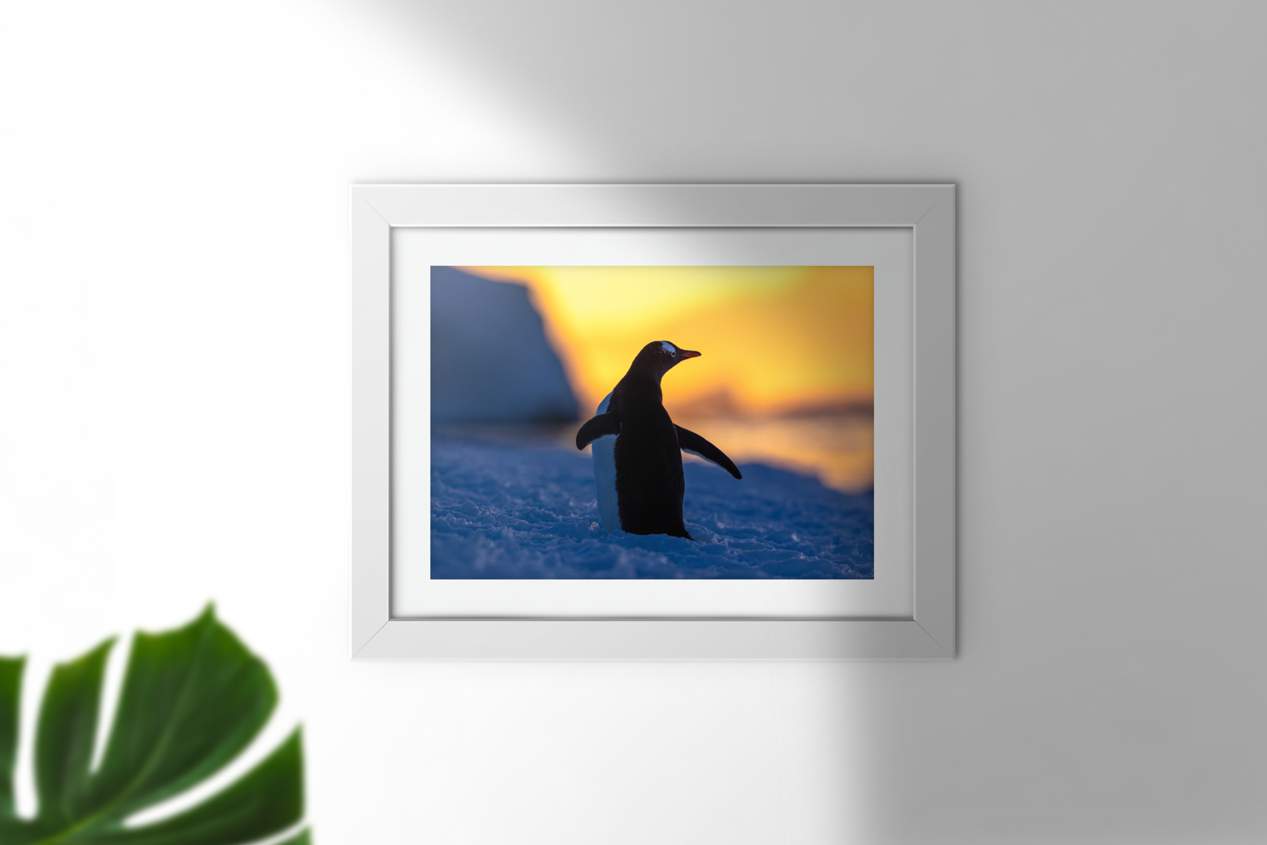 PenguinAtSunset.png