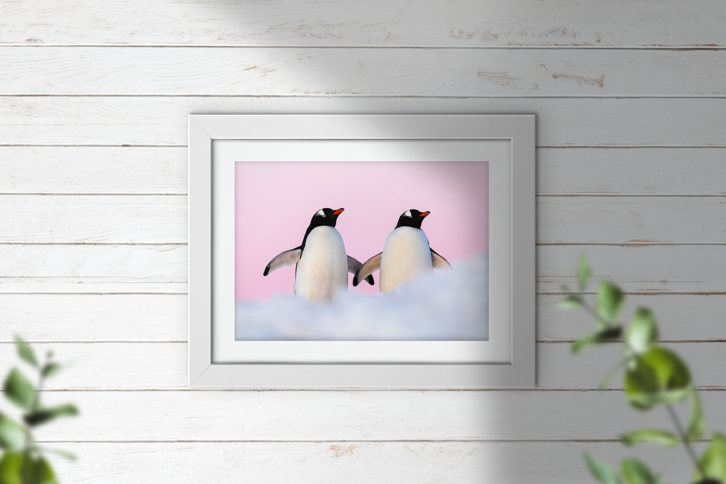 PenguinsInLove.png