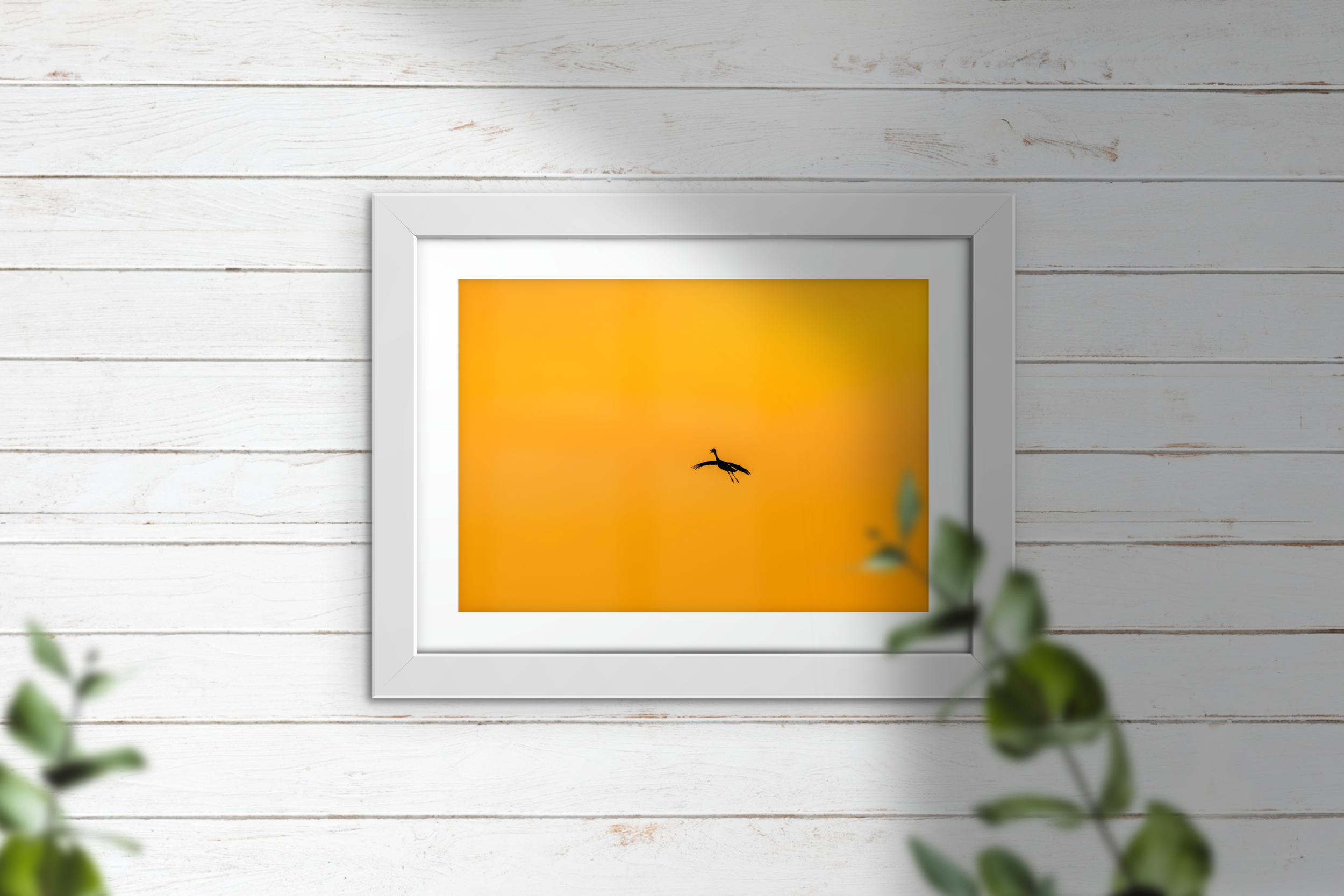 Icarus.png