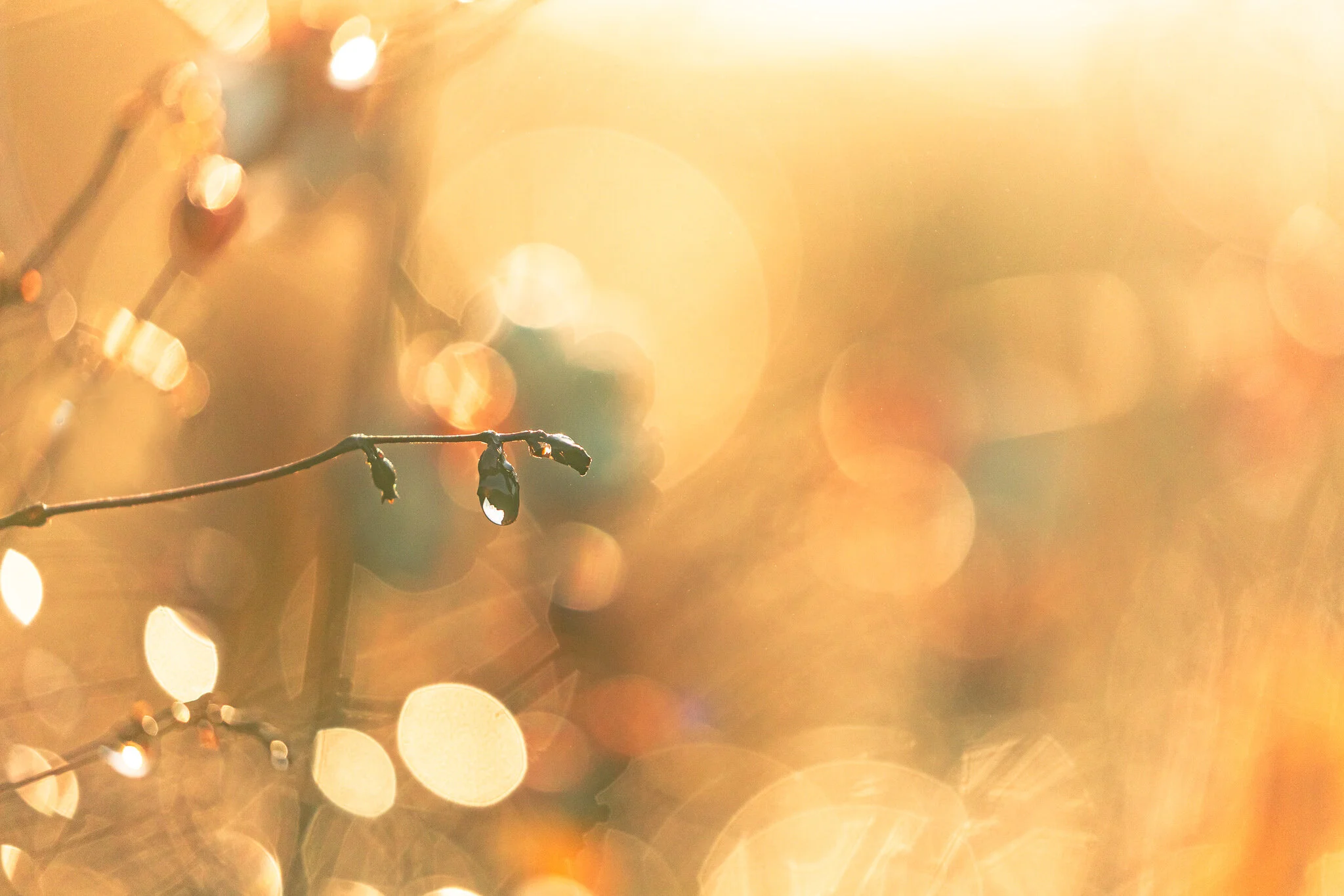 DA7A4508-Edit.jpg