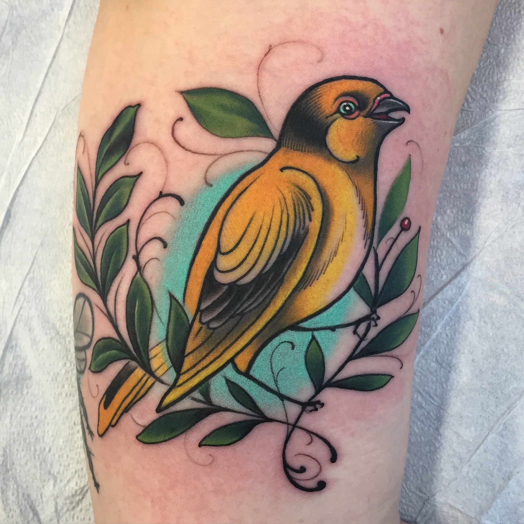 Song bird