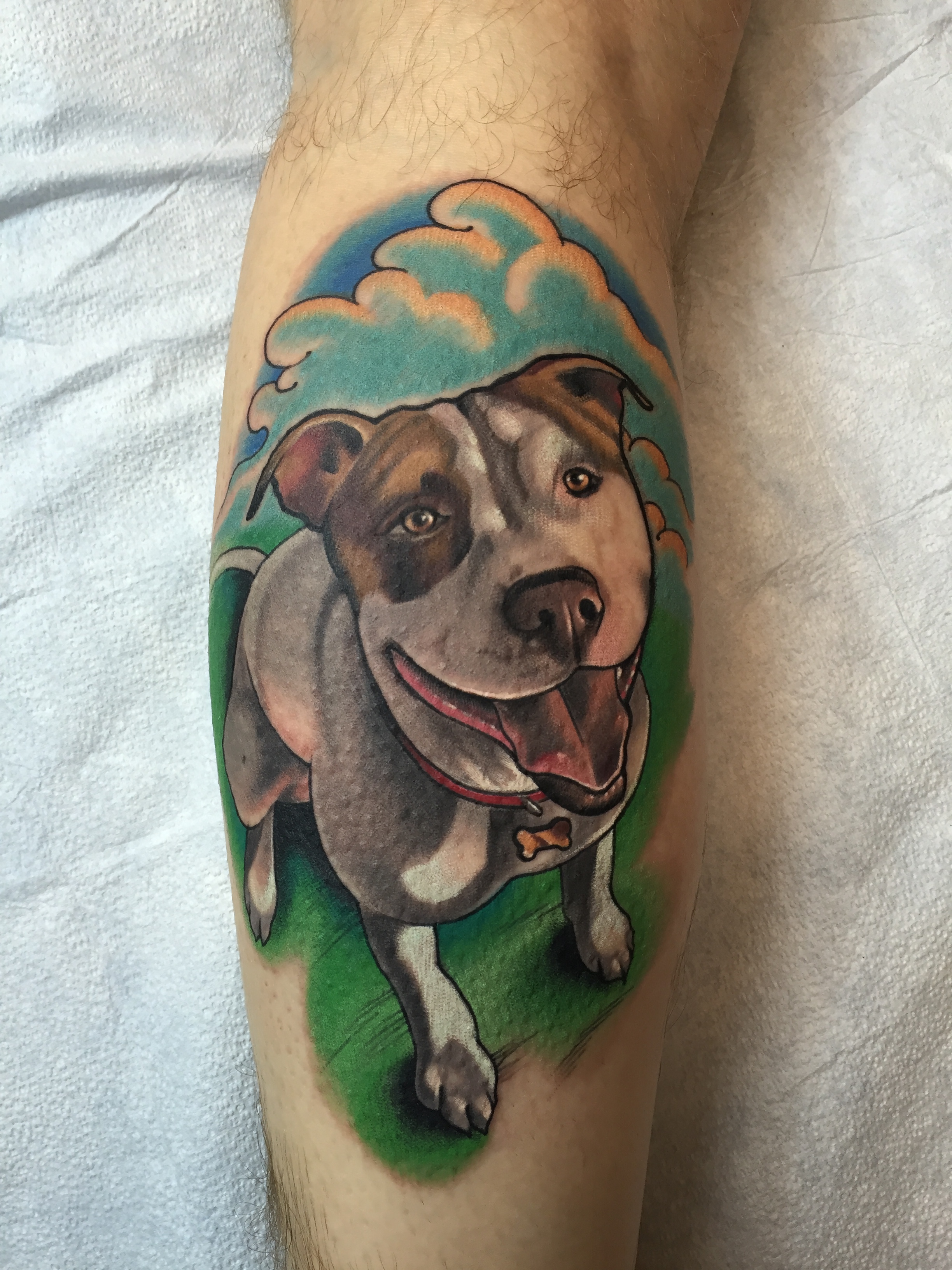 Illustrative dog portrait