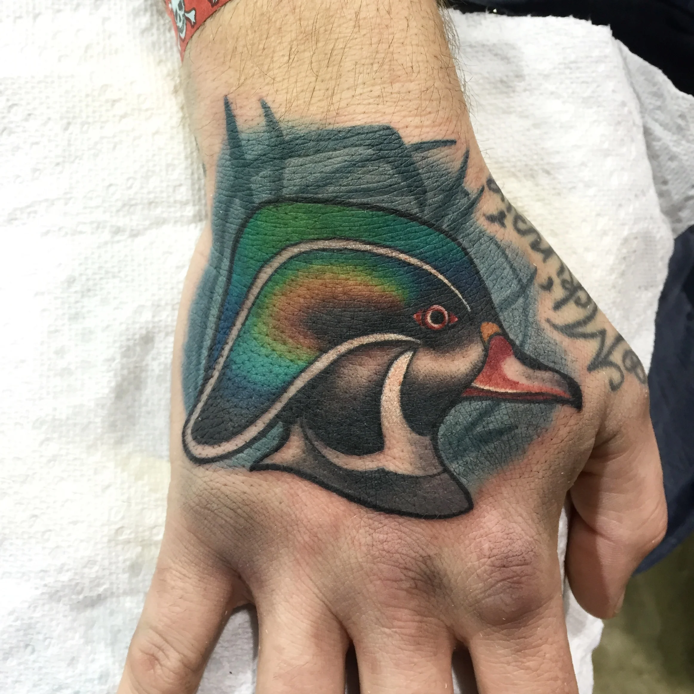 Wood duck hand tattoo