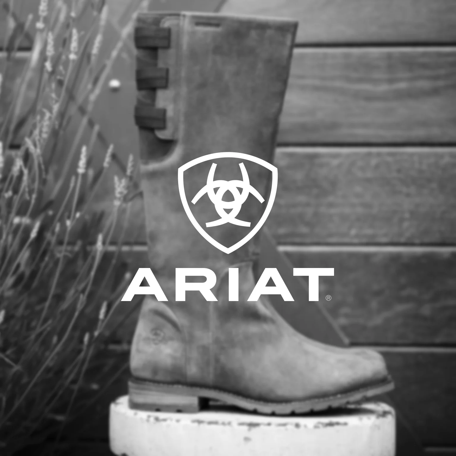 ariat.jpg