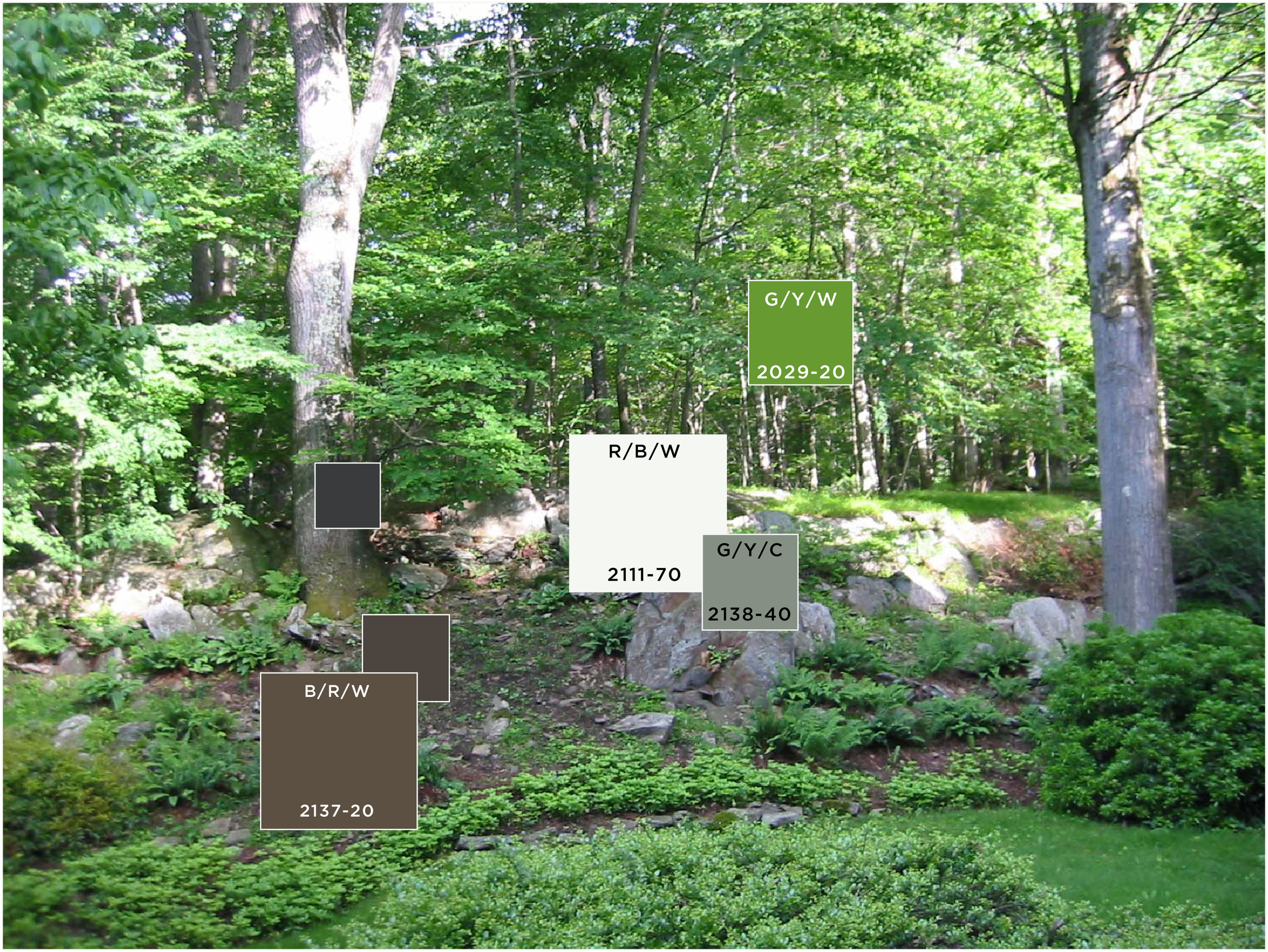 CS2.2CTPhotoSquaresNoText.jpg