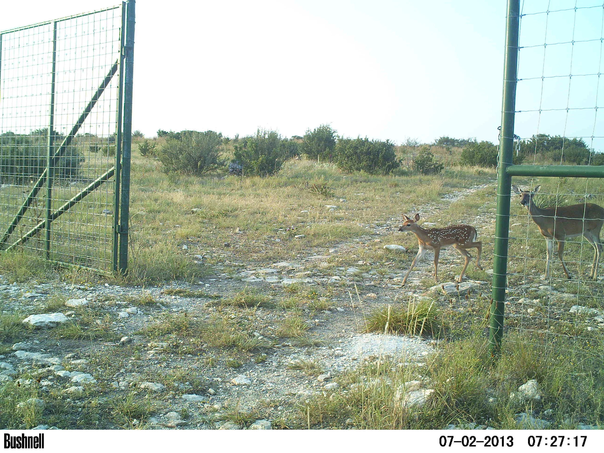 PICT0098.JPG