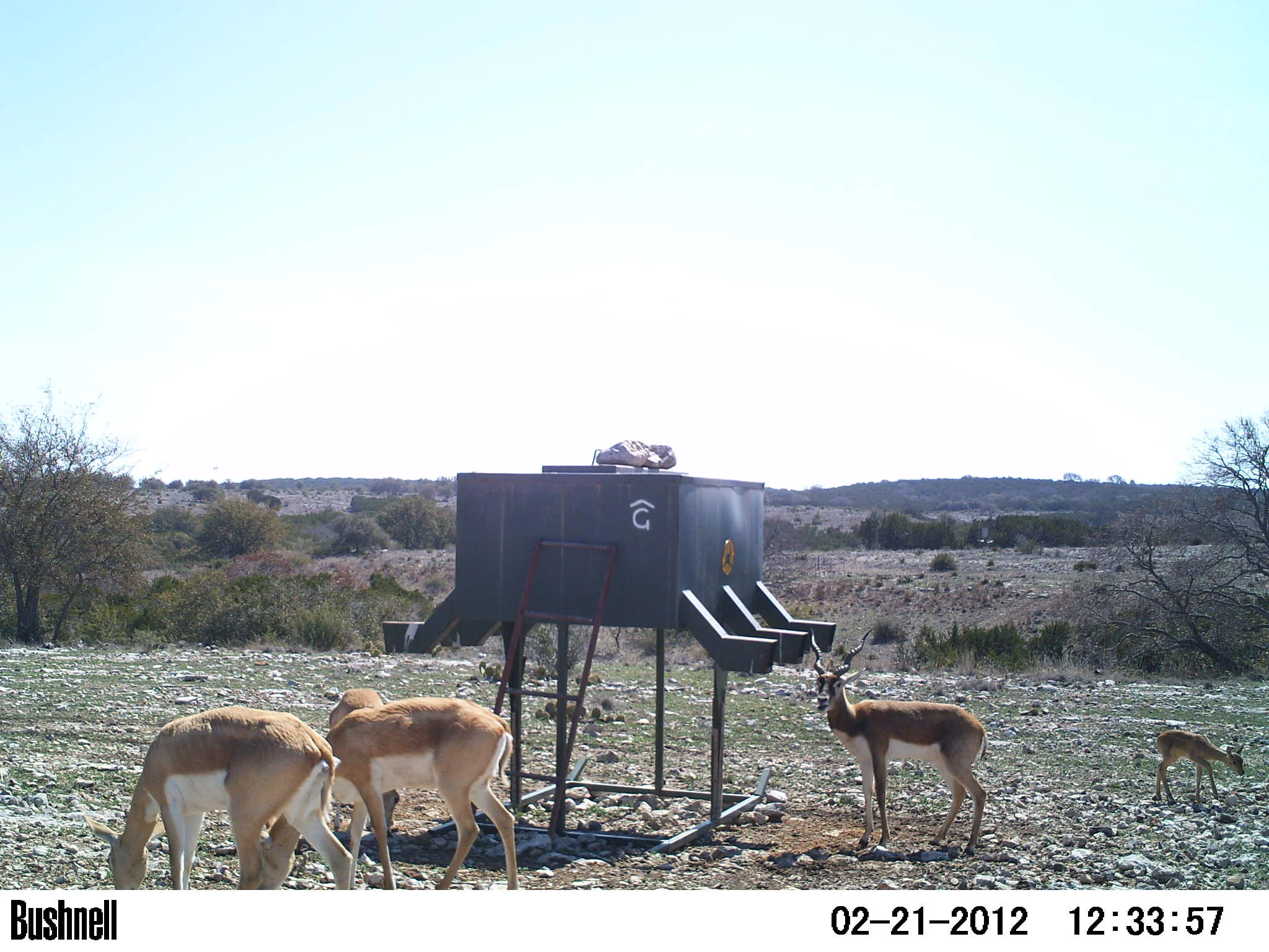 PICT0072.JPG