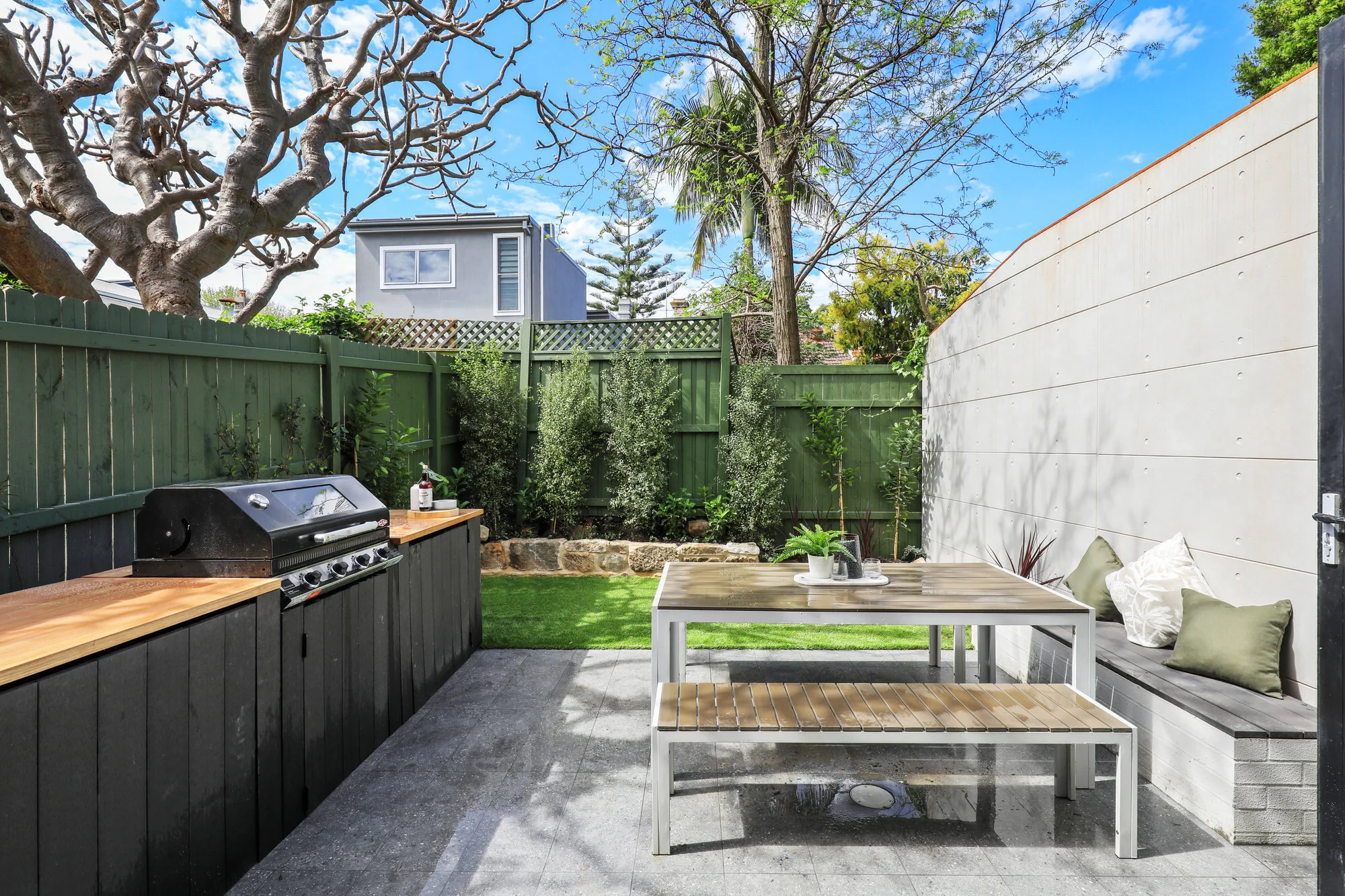 12_Juliett_St_Enmore_Low_Backyard.jpg