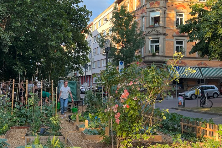 Neue Förderung für Gemeinschaftsgärten