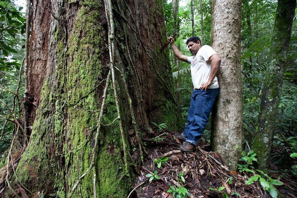 chervenak+jones+brazil+tucumaque+deforestation+conservation+jungle+canope+amazon.jpg