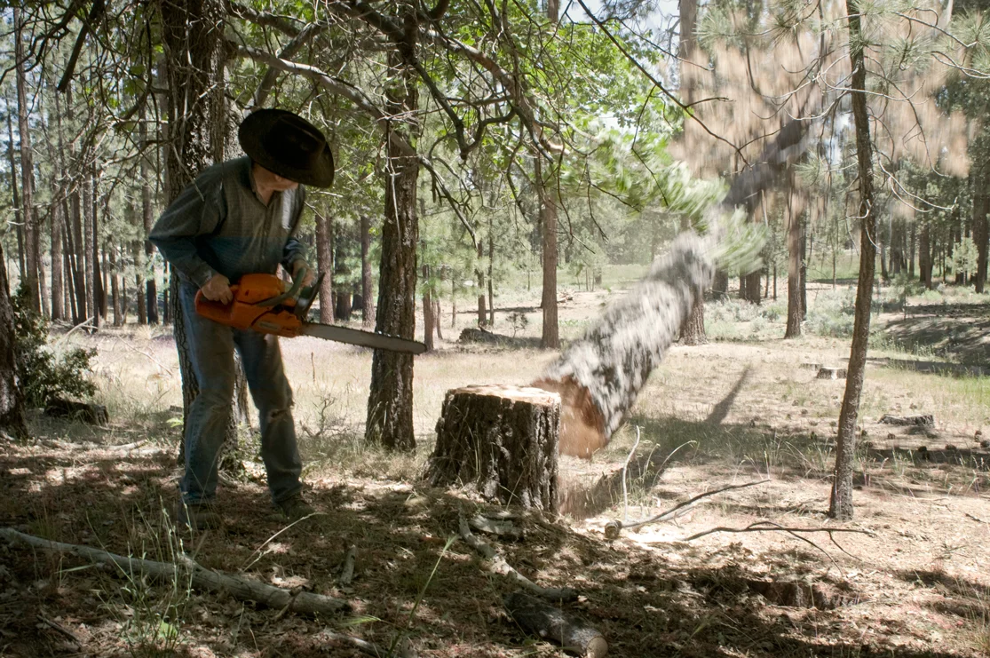aaron+chervenak+deforestation+chainsaw+countryside+cowboy.jpg