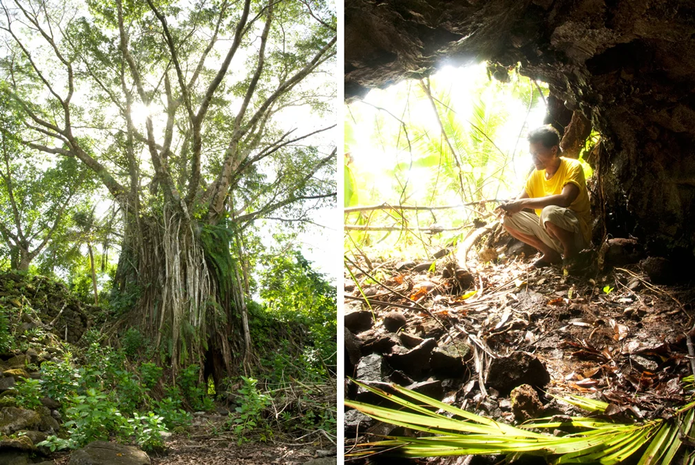 Chervenak+Kosrae-Micronesia-Local-Life-People+tree.jpg