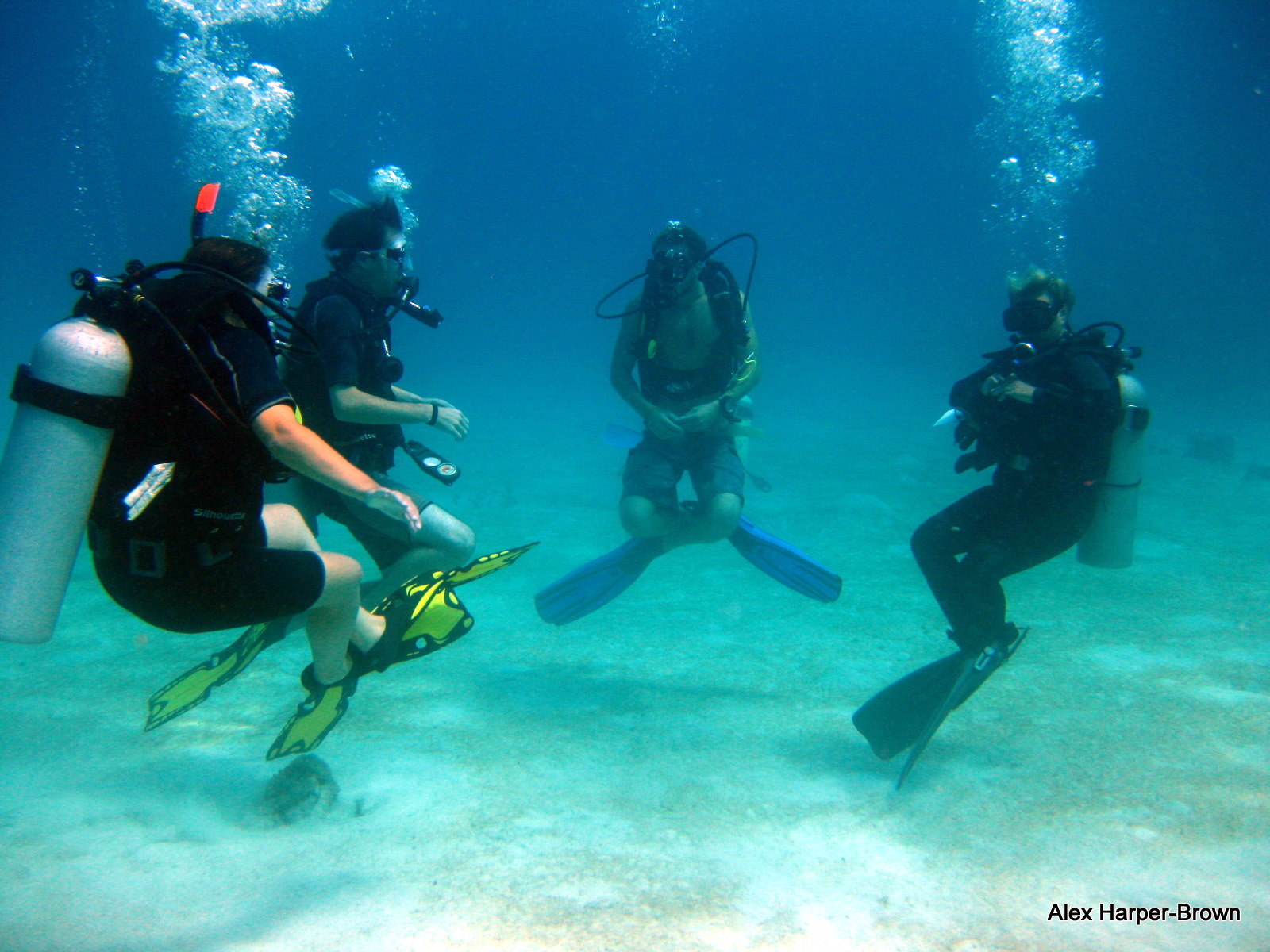 PADI Open Water course with Native Sons